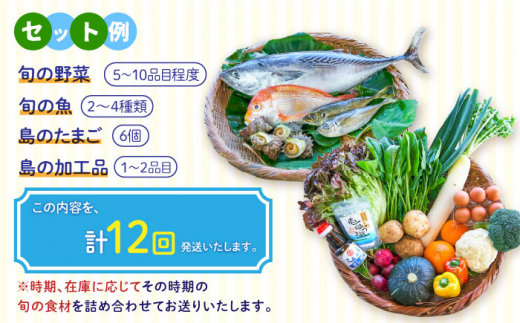 【全12回定期便】壱岐産食材詰め合わせBOX「野菜と魚」 [JBF026] 詰め合わせ 野菜 卵 鮮魚 セット 492000 492000円 48万円