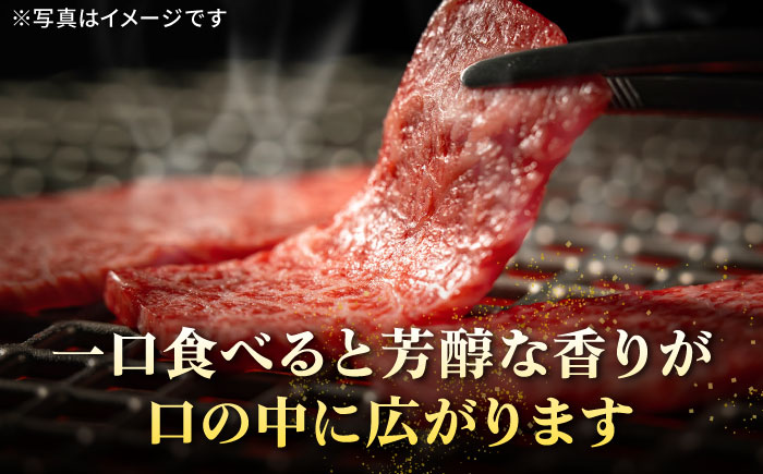 【全6回定期便】 特選 壱岐牛 肩ロース 340g（焼肉）《壱岐市》【太陽商事】[JDL071] お肉 牛肉 和牛 黒毛和牛 高級 霜降り 焼肉 ロース肉 BBQ ローストビーフ 国産 贈答 120000 120000円 12万円