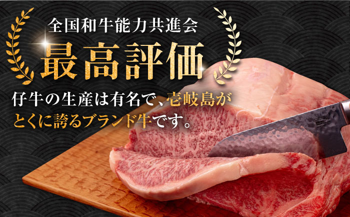 【全3回定期便】壱岐牛 サーロイン ブロック 1.5kg 《壱岐市》【中津留】[JFS024] サーロイン ステーキ 焼肉 BBQ 牛肉 肉 サーロインステーキ 赤身 焼き肉 ブロック肉 ブロック 定期便 291000 291000円