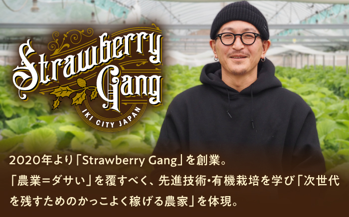 【先行予約】ゆめのか 約250g×4パック【2027年1月以降順次発送】《壱岐市》【Strawberry Gang】 [JEM001] いちご イチゴ 苺 果物 フルーツ スムージー 15000 15000円