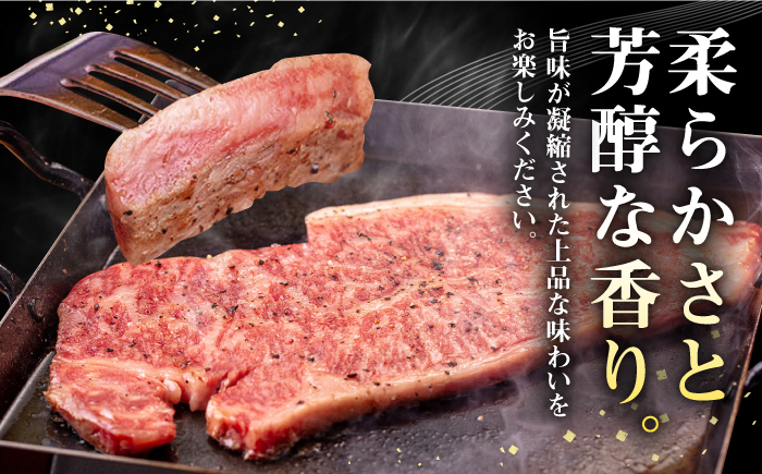 【全2回定期便】 壱岐牛 サーロインステーキ 400g（200g×2枚）《壱岐市》【株式会社イチヤマ】 肉 牛肉 サーロイン ステーキ 焼肉 BBQ [JFE108]