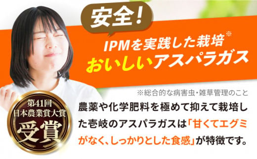 壱岐産 アスパラガス 1kg（L〜2Lサイズ）《壱岐市》【壱岐市農業協同組合】[JBO004] 野菜 旬 春野菜 夏野菜 新鮮 産地直送 アスパラ 冷蔵配送 先行予約 季節の野菜 グリーンアスパラガス 13000 13000円
