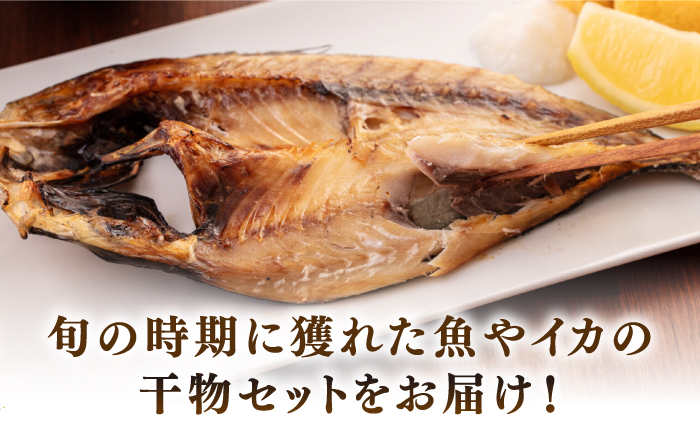 厳選　壱岐干し物セット《壱岐市》【馬渡水産】あじ アジ いわし イワシ たい タイ いか イカ 鯛 鯵 鰯 干物 ひもの 干物セット 冷凍配送 [JAQ008]