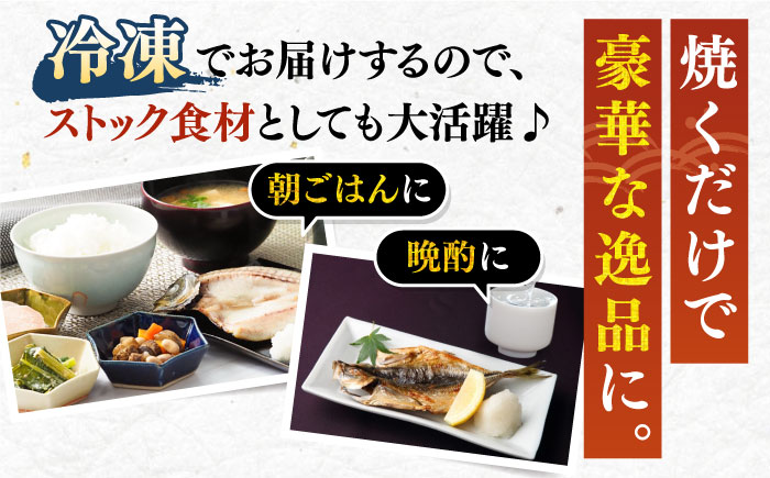 【全12回定期便】旬の海産物 干物詰め合わせ Cセット 《壱岐市》【マルミ海産物】[JCY014] 240000 240000円 24万円 干物 ひもの アジ イワシ イカ みりん干し タイ 雲丹 朝食 手作り