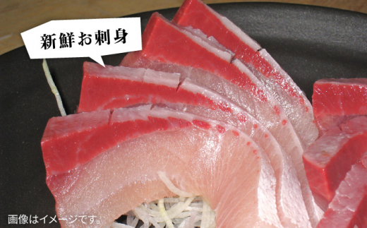 壱岐島産天然寒ブリ（5ｷﾛ台・丸もの） [JBS003]