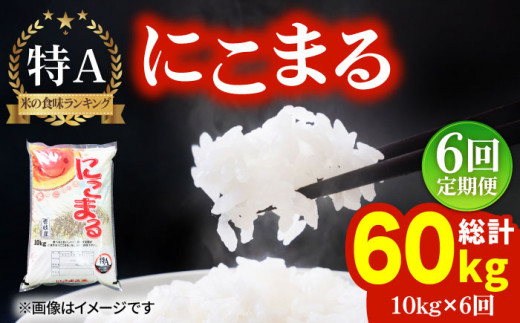 【全6回 定期便 】お米 にこまる 10kg 《 壱岐市 》 【ヤマグチ】[JCG052] 84000 84000円 