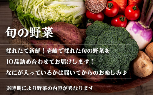 【全4回定期便】 《A4〜A5ランク》壱岐牛と旬の野菜定期便《壱岐市》【壱岐市農業協同組合】 [JBO077] 壱岐牛 肉 黒毛和牛 野菜 旬 詰め合わせ 贅沢 BBQ 93000 93000円