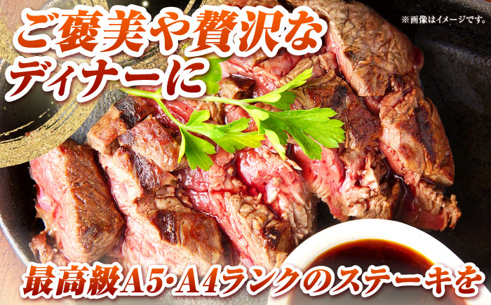 長崎和牛 サーロイン ヒレ ステーキセット 各1枚 《壱岐市》【KRAZY MEAT】 A5 A4 冷凍 和牛 肉 牛肉 BBQ 詰め合わせ 贈り物 [JER100]