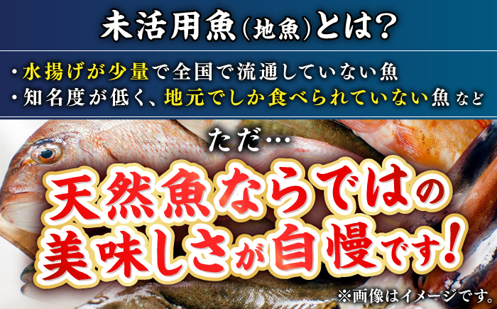 【全2回定期便】 【勝本漁港直送】壱岐島の刺身盛りセット ≪壱岐市≫【あかりや】 冷凍配送 刺身 小分け 産地直送 2万円 20000円 お刺身 刺し身 寿司 海鮮 [JFO005]