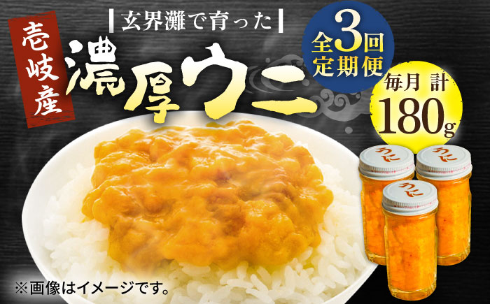 【全3回定期便】壱岐産 濃厚 ウニ 60g ×3本《壱岐市》【合同会社塚元】ムラサキウニ 海産物 海鮮 うに 雲丹 珍味 [JDR038] 100000 100000円 10万円