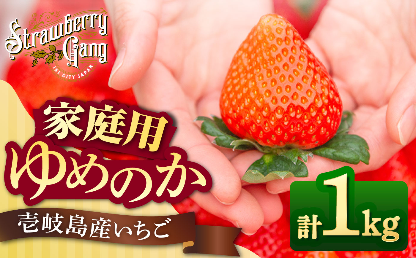 【先行予約】【訳あり/簡易包装】ゆめのか 約250g×4パック【2027年1月以降順次発送】《壱岐市》【Strawberry Gang】 [JEM003] イチゴ 苺 果物 フルーツ スムージー 13000 13000円 冷蔵配送 訳あり