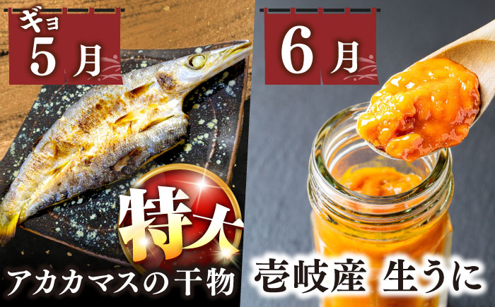 【全10回定期便】 海産物 ギョギョギョ 定期便 《壱岐市》 ウニ 鯛 ブリ 刺身 鮮魚 海鮮 [JZX019]