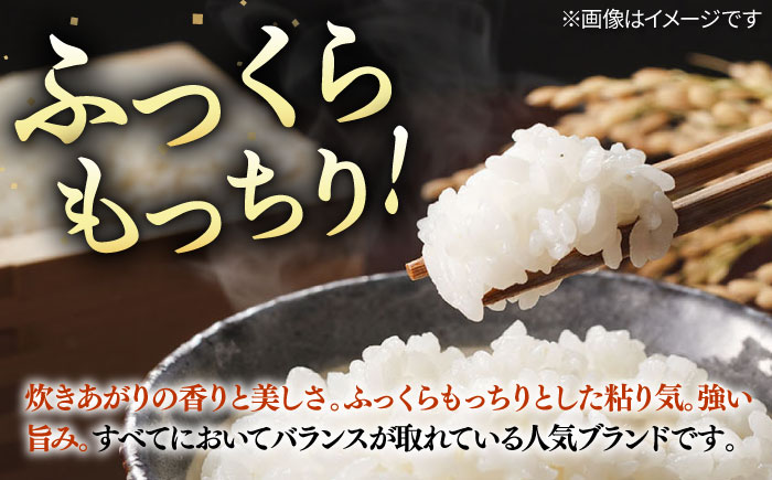 【R7年度産】こしひかり 10kg 《壱岐市》 【長米壱岐営業所】[JCZ019] 米 お米 白米 精米 ごはん ご飯 こしひかり コシヒカリ 30000 30000円