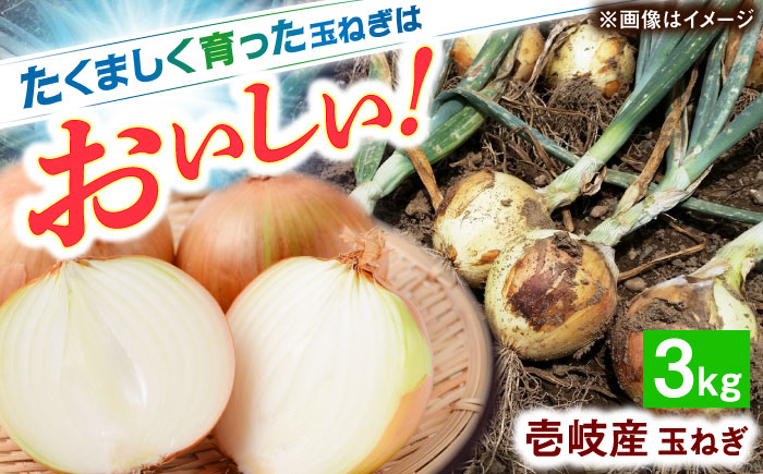 壱岐市産 玉ねぎ 3kg 《壱岐市》【ようさんのとまと】 たまねぎ タマネギ 玉ねぎ 玉葱 オニオン 国産 野菜 旬 [JHC003]