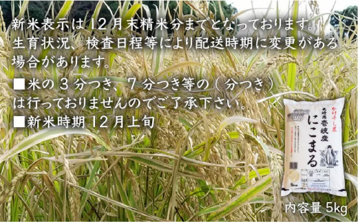 年内発送】【全12回 定期便 】お米 にこまる 5kg 壱岐産かけ干し米