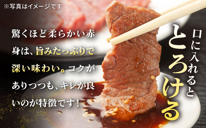 【全6回定期便】 特選 壱岐牛 ロース 750g（焼肉用）《壱岐市》【太陽商事】[JDL077] お肉 牛肉 和牛 黒毛和牛 肉 高級 霜降り 焼肉 ロース肉 BBQ ローストビーフ 贈答 九州   30万 300000 300000円 30万円