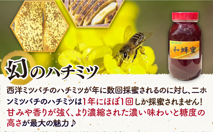 和蜂蜜（ニホンミツバチ） 1.2kg 《壱岐市》【和蜂ファーム壱岐】[JDP007] ハチミツ 蜂蜜 はちみつ 日本ミツバチ 69000 69000円 [JDP007]