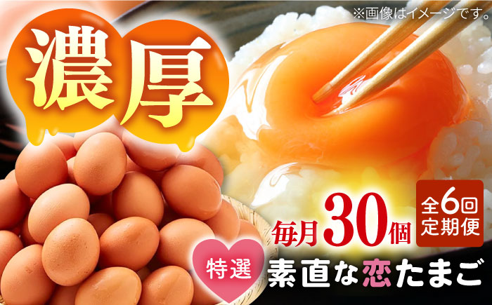 【全6回定期便】特選 素直な恋たまご 30個 《壱岐市》【しまのたまご屋さん】  卵 たまご 鶏卵 玉子 ギフト 国産 卵かけご飯 たまごかけご飯 のし 定期便 [JAP020]