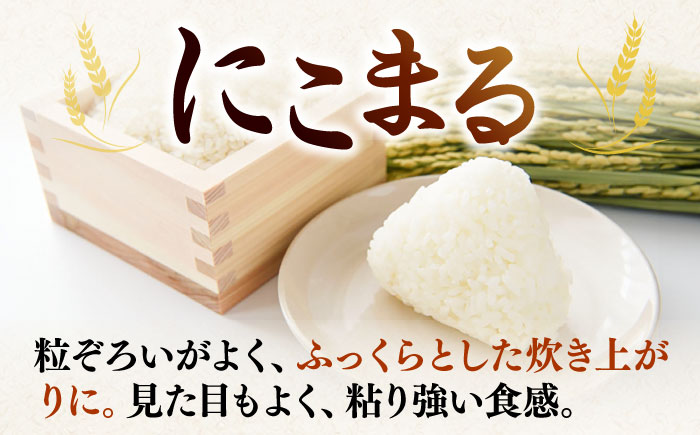 米 にこまる 壱岐産 5kg 《壱岐市》【壱岐フードファクトリー】 白米 ごはん ご飯 仕送り [JDW152]