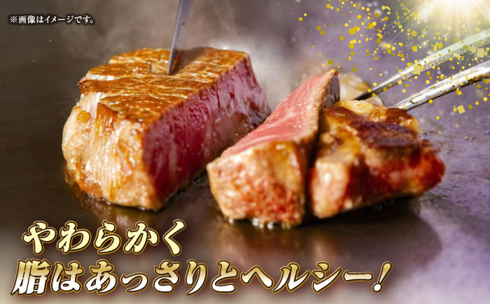 長崎和牛 希少部位 赤身 ステーキ 200g×2 《壱岐市》【KRAZY MEAT】 和牛 肉 牛肉 BBQ 冷凍 A5 A4 [JER094]