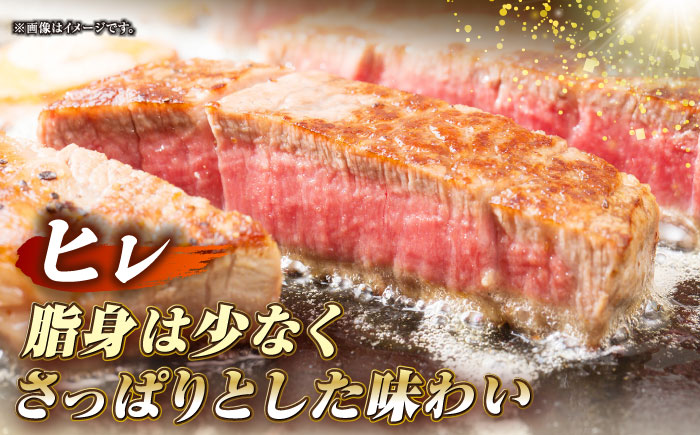 長崎和牛 サーロイン ヒレ ステーキセット 各1枚 《壱岐市》【KRAZY MEAT】 A5 A4 冷凍 和牛 肉 牛肉 BBQ 詰め合わせ 贈り物 [JER100]