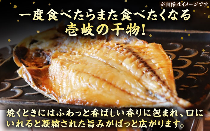 【全6回定期便】ひものや つかもとの旬のおまかせ干物詰め合わせ《竹》 [JDR013] 干物 ひもの みりん干し おまかせ 詰め合わせ アジ あじ いわし イワシ イカ カサゴ 132000 132000円 12万円