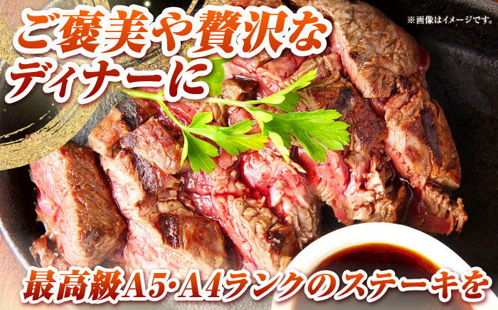 【全2回定期便】長崎和牛 サーロイン ヒレ ステーキセット 各1枚 《壱岐市》【KRAZY MEAT】 A5 A4 冷凍 和牛 肉 牛肉 BBQ 詰め合わせ 贈り物 [JER132]