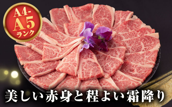 【全2回定期便】【A4〜A5ランク】長崎和牛 焼肉用 上カルビ 500g《壱岐市》【野中精肉店】 牛 牛肉 和牛 赤身 焼肉 焼肉用 カルビ BBQ バーベキュー ギフト 贈答用 冷凍配送 A4 A5 [JGC035]