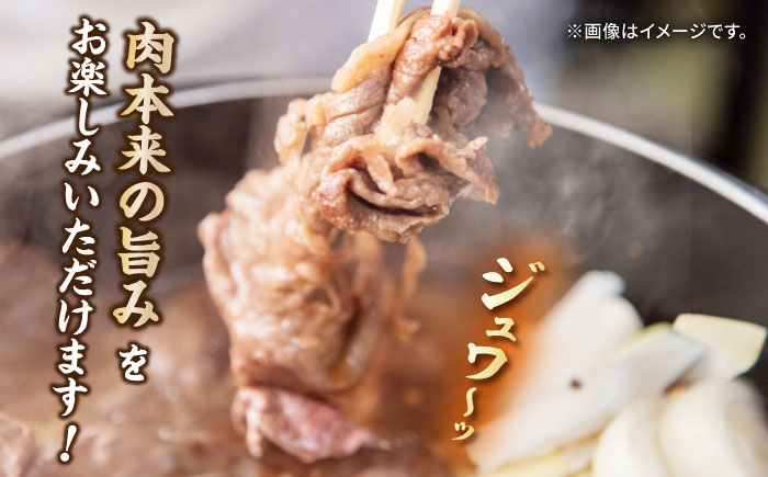 長崎和牛 切り落とし 600g（300g×2パック）《壱岐市》【長崎フードサービス】 肉 牛肉 赤身 小分け 国産 切落し 切り落し 冷凍配送 10000 10000円 [JEP008]