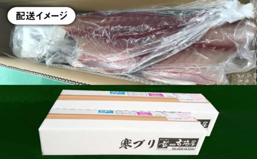 壱岐島産天然寒ブリ（11ｷﾛ台・3枚おろし） [JBS032]