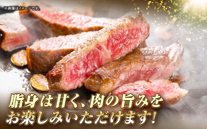 【全6回定期便】長崎和牛 サーロイン ステーキ 350g×2 《壱岐市》【KRAZY MEAT】 A5 A4 冷凍 和牛 肉 牛肉 BBQ [JER122]