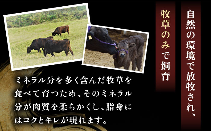 【全3回定期便】 《A4〜A5ランク》壱岐牛 ロース 300g（すき焼き・しゃぶしゃぶ）《壱岐市》【壱岐市農業協同組合】[JBO086] 肉 牛肉 ロース すき焼き しゃぶしゃぶ 鍋 うす切り  薄切り 赤身 定期便