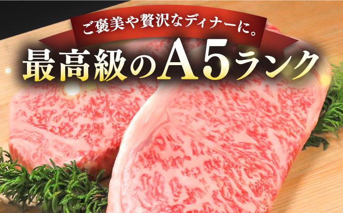 【全2回定期便】極上 壱岐牛 A5ランク サーロインステーキ 350g×2枚（雌）《壱岐市》【KRAZY MEAT】[JER039] サーロイン ステーキ 希少部位 赤身 牛肉 A5 100000 100000円 10万円