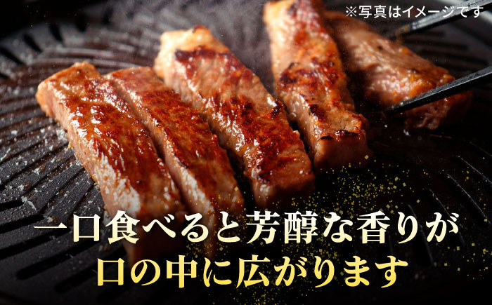 【全12回定期便】 特選 壱岐牛 サーロインステーキ 200g×2枚 《壱岐市》【太陽商事】[JDL091] 肉 牛肉 サーロイン ステーキ サーロインステーキ 赤身 焼肉 焼き肉 定期便 324000 324000円