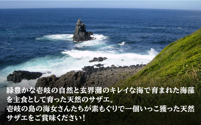 秘伝のタレ サザエのつぼ焼き ４パック　【サイズ・個数選択不可】）《壱岐市》【天下御免】 [JDB394]