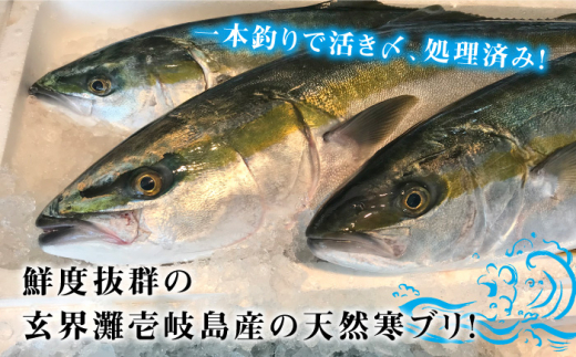 壱岐島産天然寒ブリ（5ｷﾛ台・丸もの） [JBS003]