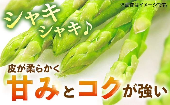 壱岐産 アスパラガス 1kg《壱岐市》【壱岐市農業協同組合】[JBO004] 野菜 旬 春野菜 夏野菜 新鮮 産地直送 アスパラ 冷蔵配送 先行予約 季節の野菜 グリーンアスパラガス 11000 11000円