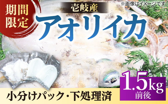 アオリイカ（水イカ）1,500g前後 《壱岐市》【ヤマグチ】[JCG019] いか あおりいか 32000 32000円