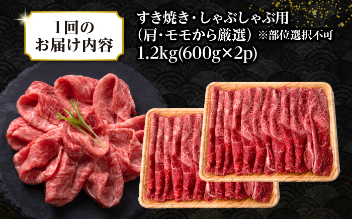 【全2回定期便】【訳あり】【A4〜A5ランク】 長崎和牛 赤身 霜降り しゃぶしゃぶ・すき焼き用 1.2kg(600g×2パック)（肩・モモ）《壱岐市》【株式会社MEAT PLUS】 肉 牛肉 訳あり しゃぶしゃぶ用 すき焼用 A5 [JGH099]