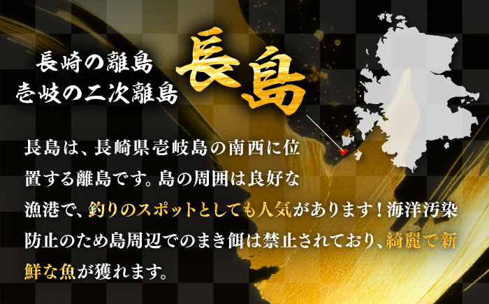 【全2回定期便】 豪快 舟盛り 「永村印の神洸丸大漁舟盛り」 3～4人前《壱岐市》【神洸水産】 刺身 刺し身 海鮮 鮮魚 海産物 [JFI005]