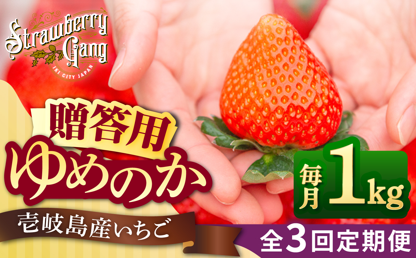 【先行予約】【全3回定期便】ゆめのか 約250g×4パック【2027年1月以降順次発送】《壱岐市》【Strawberry Gang】 [JEM002] いちご イチゴ 苺 定期便 果物 フルーツ スムージー 45000 45000円