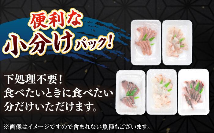【勝本漁港直送】壱岐島の刺身盛りセット ≪壱岐市≫【あかりや】 冷凍配送 刺身 小分け 産地直送  11000円 お刺身 刺し身 寿司 海鮮 [JFO003]