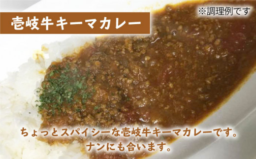 壱岐牛 煮込みハンバーグ キーマカレー セット 200g 5個《壱岐市》【壱岐味噌工房】[JBW005] 35000 35000円 