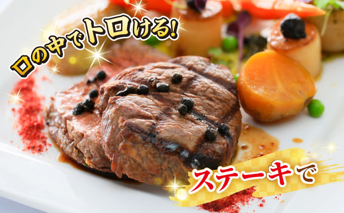 【全3回定期便】【A4〜A5ランク】長崎和牛 ヒレステーキ　450g（150g×3枚）《壱岐市》【株式会社MEAT PLUS】肉 牛肉 和牛  ヒレ フィレ ヘレ ご褒美 ギフト 贈答用 ご褒美 冷凍配送 A4 A5 [JGH152]