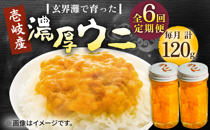 【全6回定期便】壱岐産 濃厚 ウニ 60g ×2本《壱岐市》【合同会社塚元】ムラサキウニ 海産物 海鮮 うに 雲丹 珍味 [JDR035] 200000 200000円 20万円