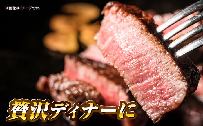 長崎和牛ヒレステーキ（150g×4枚）《壱岐市》【太陽商事】 肉 牛肉 和牛 ヒレ フィレ ヘレ ご褒美 ギフト 贈答用 ご褒美 冷凍配送 A4 A5 [JDL130]