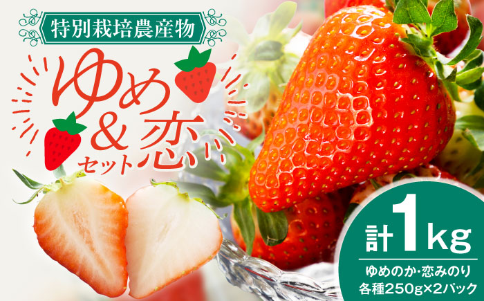 ゆめ恋セット（ゆめのか・恋みのり）計1kg《壱岐市》【蒼花】[JEO001] いちご イチゴ 苺 フルーツ 果物 スムージー ジャム ゆめのか 恋みのり セット 食べ比べ 小分け パック 冷蔵 あまおう 15000 15000円