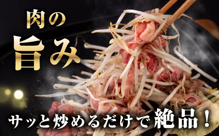 【全2回定期便】【A4~A5ランク】 長崎和牛 肩ロース 切り落とし 300g《壱岐市》【野中精肉店】牛 牛肉 和牛 国産 長崎和牛 霜降り すき焼き すき焼 ロース ギフト 贈答用 冷凍配送 A4 A5 [JGC063]