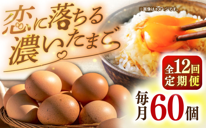 【全12回定期便】特選 素直な恋たまご 60個 《壱岐市》【しまのたまご屋さん】 [JAP005] 卵 たまご 鶏卵 玉子 ギフト 国産 もみじ 卵かけご飯 たまごかけご飯 のし プレゼント ギフト 定期便 156000 156000円