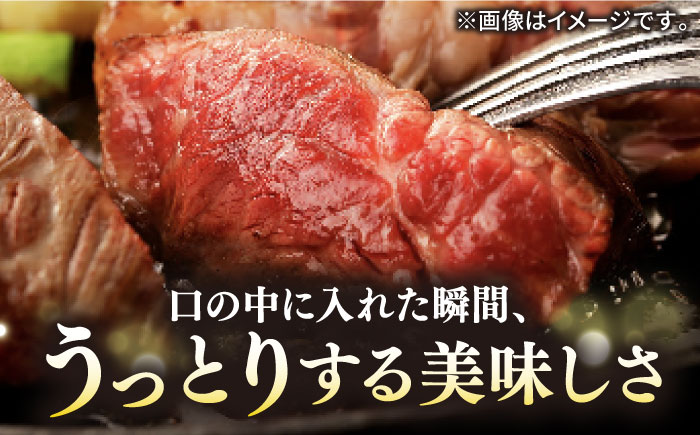 【全3回定期便】壱岐牛 A5ランク ギフトセット《壱岐市》【KRAZY MEAT】[JER043] ステーキ 赤身 牛肉 肉 贈答 プレゼント ギフト ハンバーグ ステーキ ジャーキー 詰め合わせ 120000 120000円 12万円